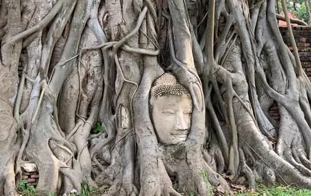 Ayutthaya Adventure Food, Temples, and History