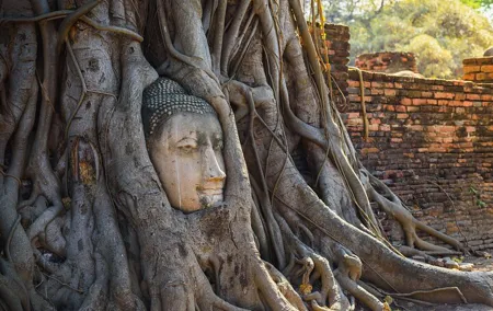 Ayutthaya Fullday history and world heritage sites