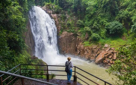Khao Yai: Waterfalls, Deer Spotting & Jungle Walks Day Tour