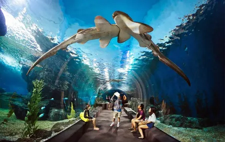 Pattaya Underwater World Aquarium with Private Transfer