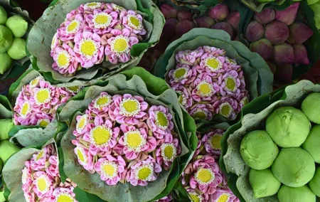 Bangkok Lotus Fields, Orchid Farm, and Flower Market Tour