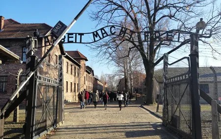 Full-Day Tour From Warsaw to Auschwitz (guided) and Krakow by car