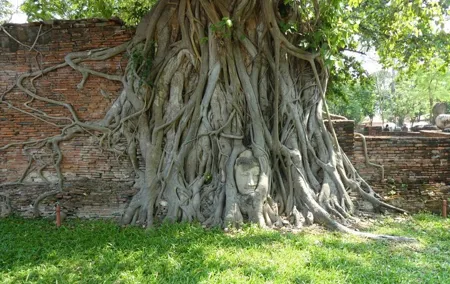 Sunset Boat Experience and Bicycle Hike Tour in Ayutthaya