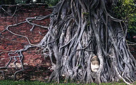 Ayutthaya Landmark Tour with Famous Temple & Floating Market