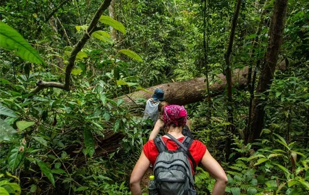 Khao Yai Bat Caves & Night Safari Adventure 3D/2N