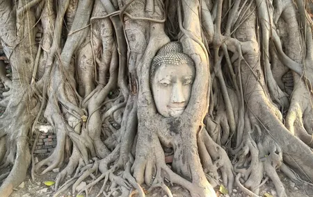 Private Ayutthaya Famous Temples Tour From Bangkok