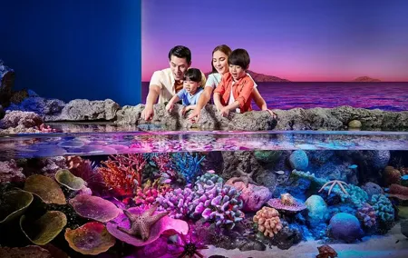 SEA LIFE Bangkok Ocean World and Madame Tussauds Tickets