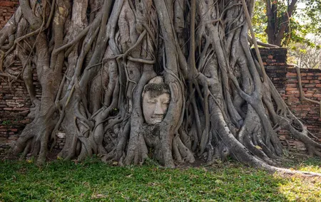 Explore Ancient Ayutthaya Historical Park Day Tour in Bangkok