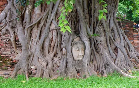 Private Ayutthaya Ancient Temple and Floating Market Day Tour