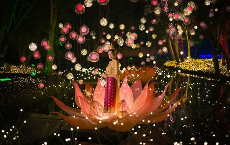 Once a Year Moment at Na Satta Park Light Festival