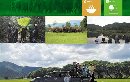 Kuiburi Wildlife Watching & Cookery with Host