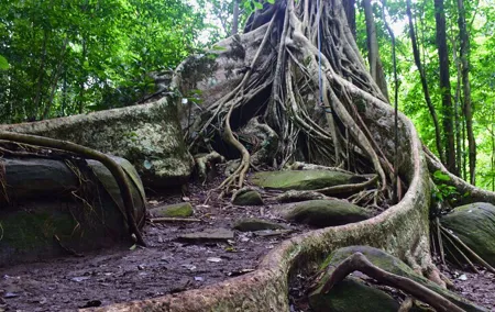 2 Days Wilds Khao Yai Trek and Wine Tour