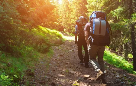 Private Hiking in Khao Yai National Park From Bangkok