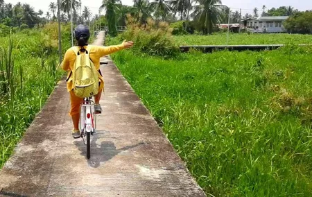 Private - A BIKING TOUR at Car-Free ISLAND incl LUNCH
