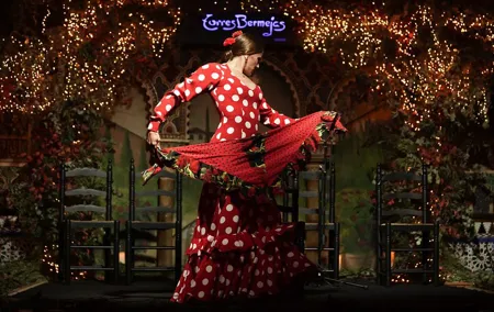 Flamenco Show & Special Menu at Torres Bermejas in Madrid
