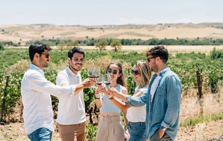 Toledo Tour & Vineyard Walk with Wine Tasting from Madrid