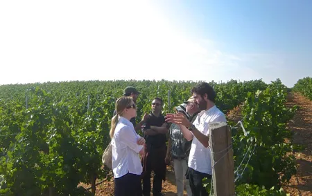 Madrid Countryside Wineries Guided Tour with Wine Tasting