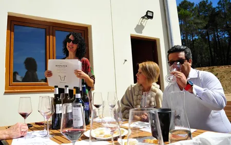 Ribera del Duero Wineries Guided Tour & Wine Tasting from Madrid