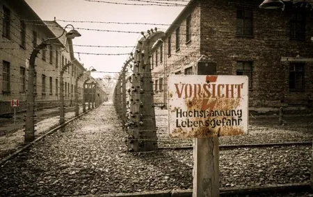 Krakow and Auschwitz Small Group Tour from Warsaw with Lunch