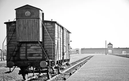 From Warsaw: Auschwitz-Birkenau Tour with Premium Train Transportation