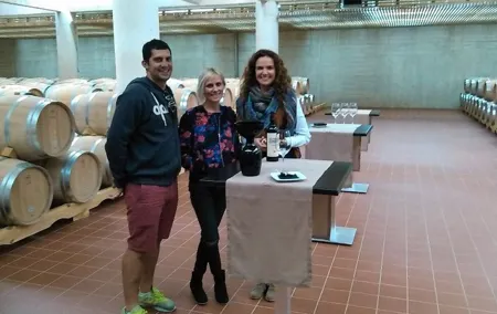 Ribera del Duero Small Group Tour: Tapas & Wine Tasting