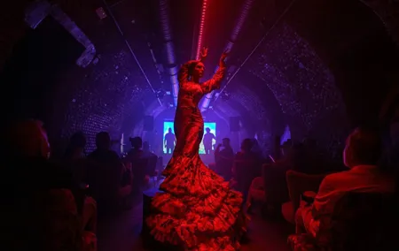 Intimate Flamenco Show & Spanish Drink in Madrid at La Carmela