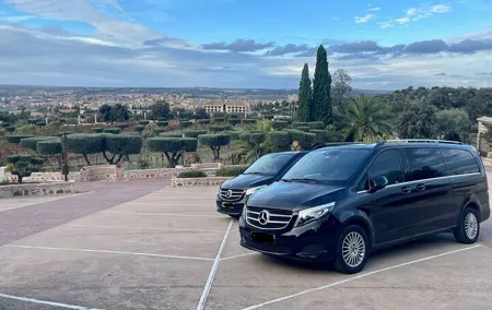 Private Tour to Toledo Half Day by Minivan