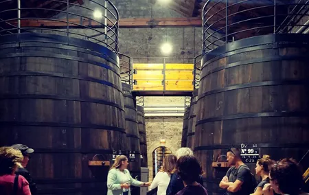 2 wineries tasting & quaint villages 6 hours wine tour in Madrid