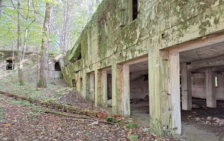 Tour from Warsaw: Wolf's Lair, Hitler's HQ Zones I and II