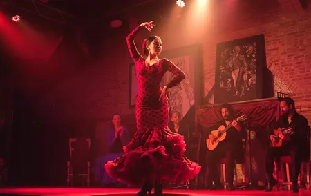 Flamenco night Show and Dinner in Madrid