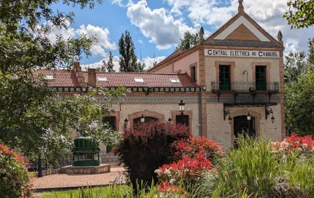 Paella, Olive Oil, Wine & Relax in Rural Estate outside Madrid