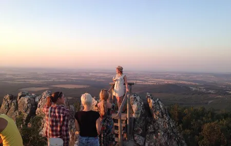 Ribera del Duero Winery Guided Tour and Wine Tasting from Madrid
