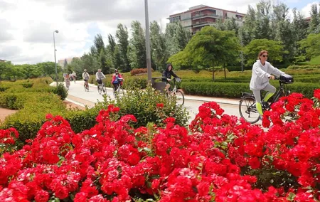 Madrid Parks & Riverside Bike Tour