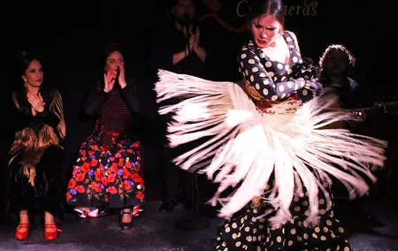 Madrid Local Tapas, Wine Bars & Flamenco Show