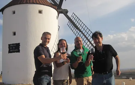 Windmills of Don Quixote Wine Tour & Tasting from Madrid