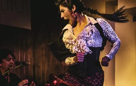Local Flamenco Show with dinner at El Cortijo