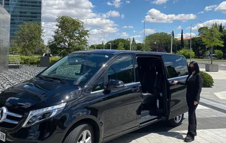 Shuttle Transfer Arrivals: Madrid Airport to City Center
