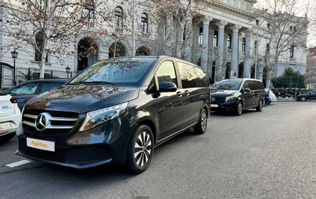 Vehicle transfer with driver included in Madrid