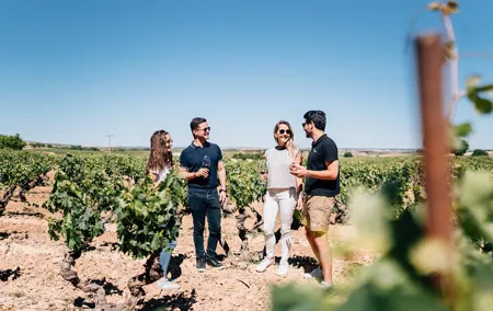 Wine Tasting, Tapas & Spanish Villages Tour from Madrid