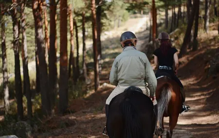 Horse Riding Madrid Natural Park Private trip