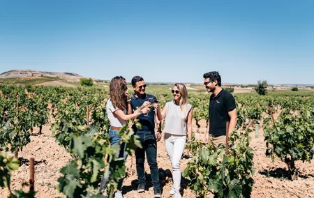 Segovia and Ribera del Duero Winery with Wine Tasting from Madrid