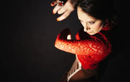 Flamenco show & tasting Tapas with panoramic views in Madrid