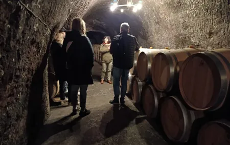 Ribera del Duero Wine Tour: Two Wineries and Tasting