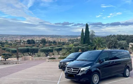 Toledo Private Minivan Tour from Madrid