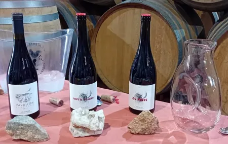 Madrid Wine Tour: Visit Two Wineries with Tastings
