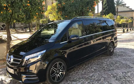 Transfer from the Airport to Madrid