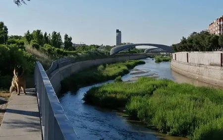 Manzanares River’s Story: A Self-Guided Audio Tour in Madrid