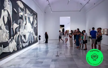 Reina Sofia Museum Tour Masterpieces with a Local Guide