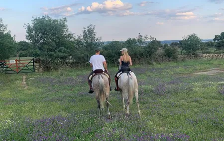 Horseback riding from Madrid