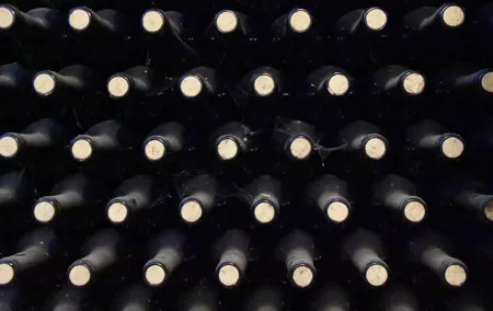 Full-Day Toledo Wineries Tour from Madrid with Hotel Pick Up